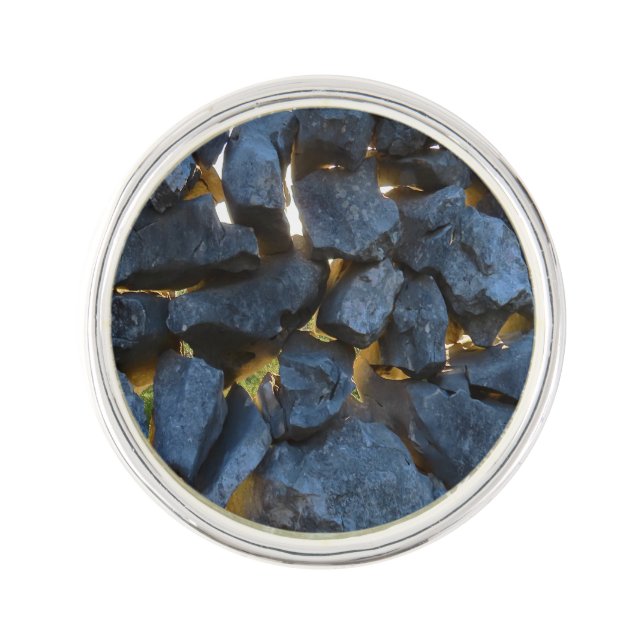 Dalmatian Stone Wall Texture Lapel Pin (Front)