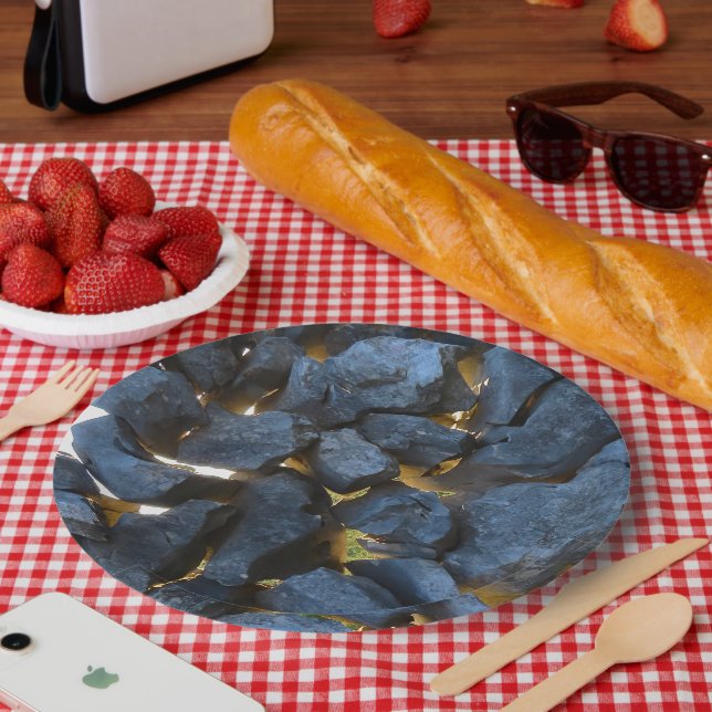 Dalmatian Stone Wall Texture Paper Plates (Picnic)