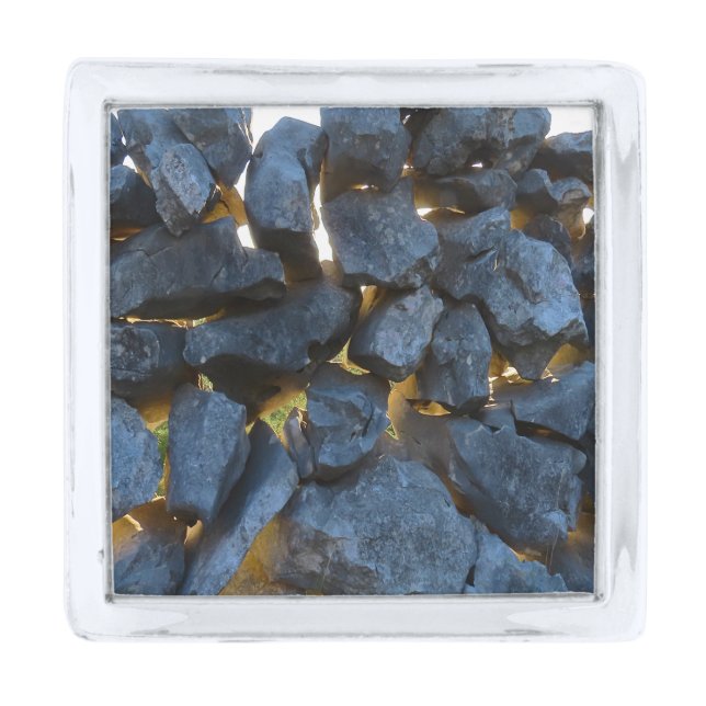 Dalmatian Stone Wall Texture Silver Finish Lapel Pin (Front)