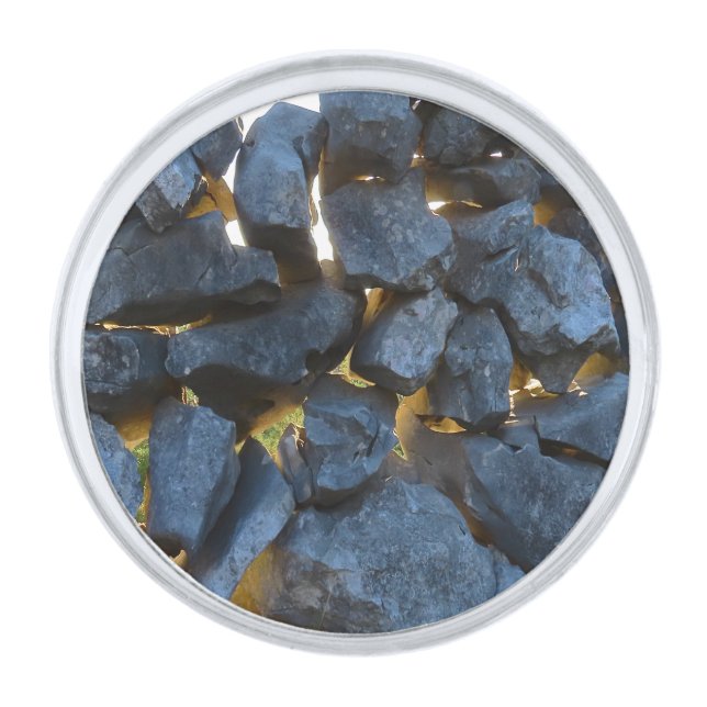 Dalmatian Stone Wall Texture Silver Finish Lapel Pin (Front)