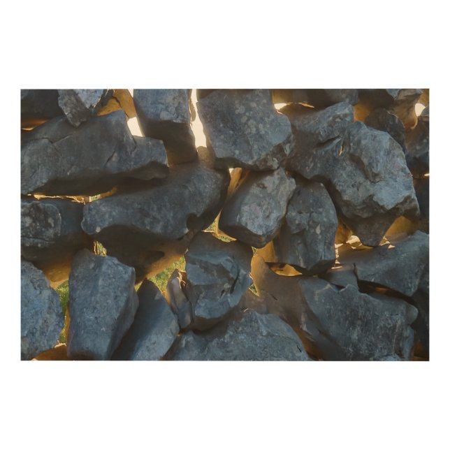 Dalmatian Stone Wall Texture Wood Wall Art (Front)