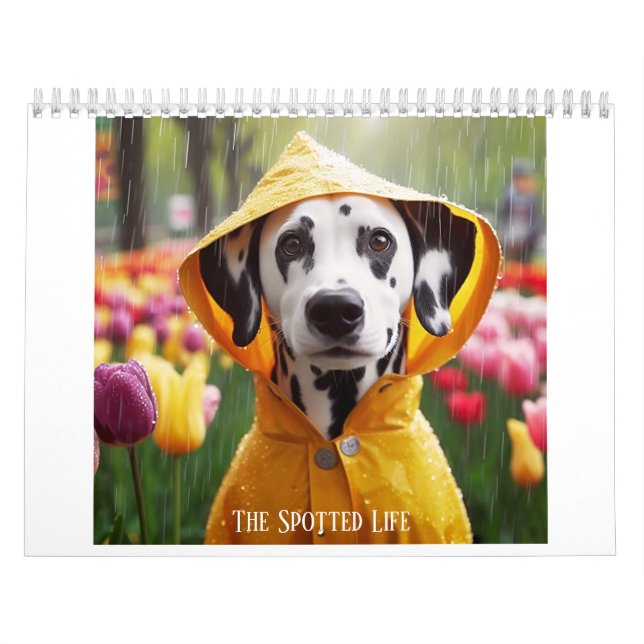 Dalmatian The Spotted Life Calendar (Cover)