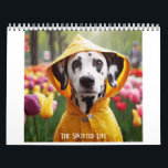 Dalmatian The Spotted Life Calendar<br><div class="desc">The Spotted Life Dalmatian calendar. Share the adventures of these adorable Dalmatians throughout the year!</div>