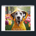 Dalmatian The Spotted Life Calendar<br><div class="desc">The Spotted Life Dalmatian calendar. Share the adventures of these adorable Dalmatians throughout the year!</div>