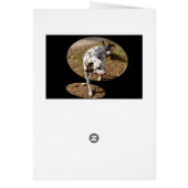 Dalmatian Window Art, (Back)