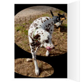 Dalmatian Window Art, (Inside (Left))