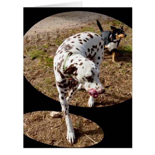 Dalmatian Window Art, Cards (Front)