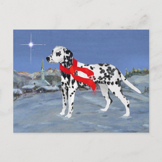 Dalmatian Winter Night Postcard (Front)