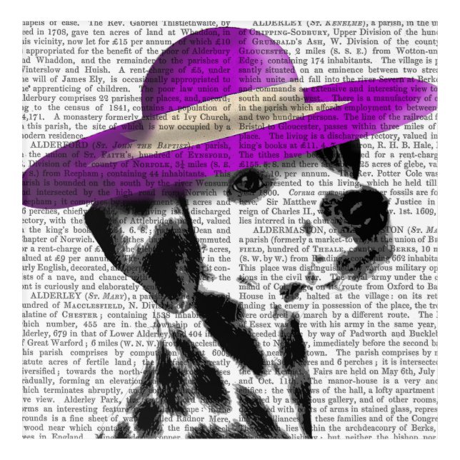 Dalmatian With Purple Wide Brimmed Hat Acrylic Print (Front)