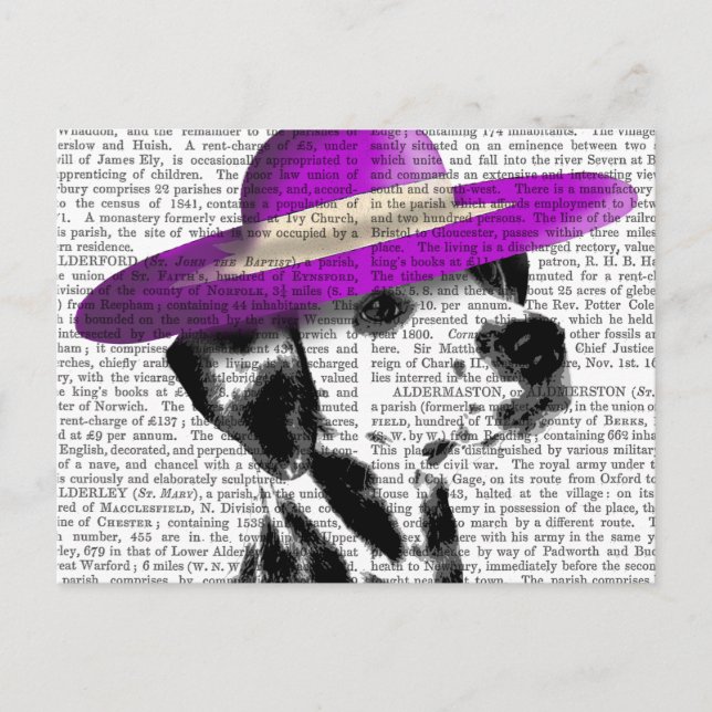 Dalmatian With Purple Wide Brimmed Hat Postcard (Front)