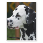 Dalmatian with Spots Temporary Tattoos