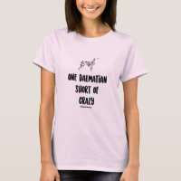 Dalmatian Women's Cyclone Tie-Dye T-Shirt