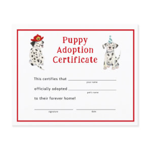Dalmatians Boy Party Puppy Adoption Certificate