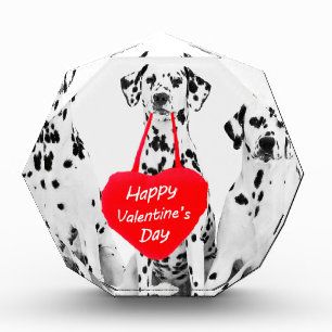 Dalmatians Dog Heart Happy Valentine's Day Acrylic Award