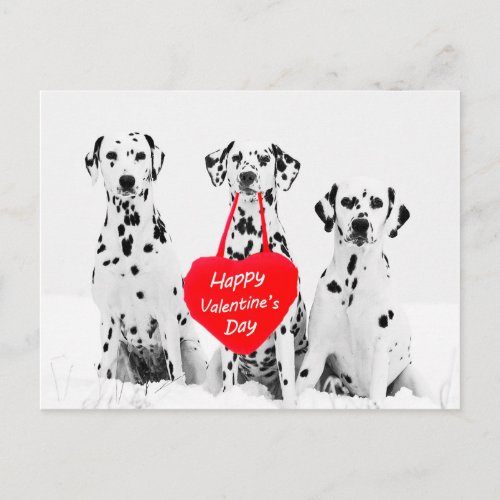 Dalmatians Dog Heart Happy Valentines Day Holiday Postcard