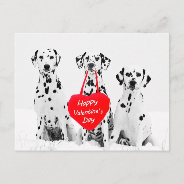 Dalmatians Dog Heart Happy Valentine's Day Holiday Postcard (Front)