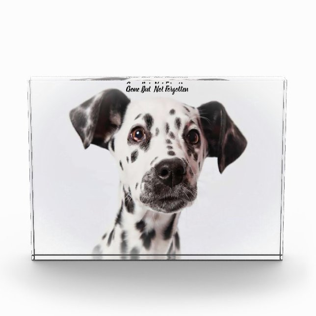Dalmation Dog. Acrylic Award (Front)