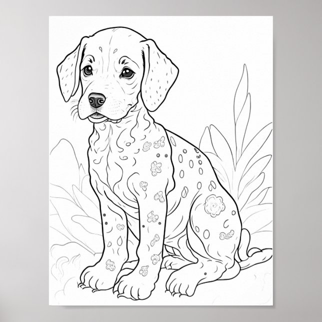 Dalmation Dog Adult Coloring Poster (Front)