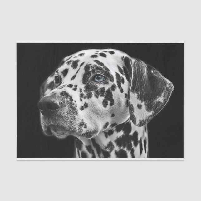 Dalmation Dog Black & White Decoupage Tissue Paper (Front)
