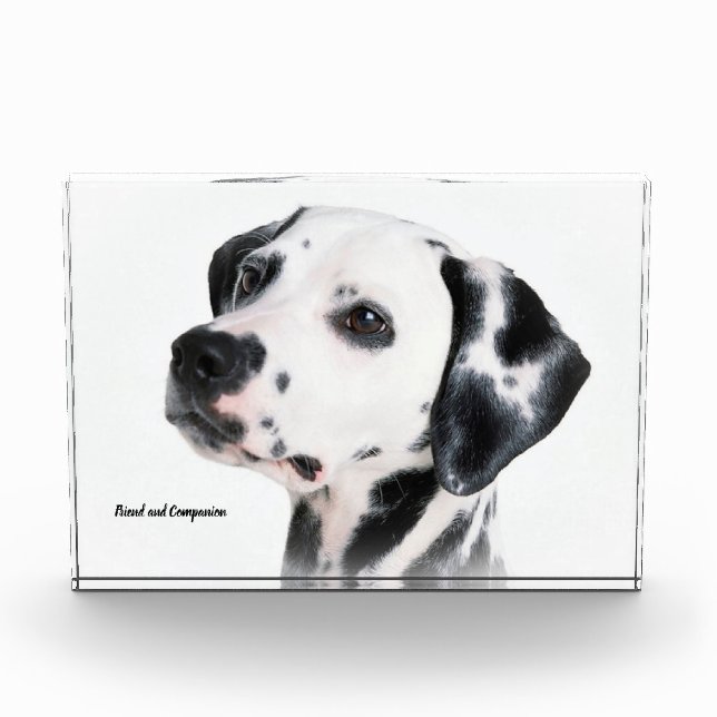 Dalmation Dog. Photo Block (Front)