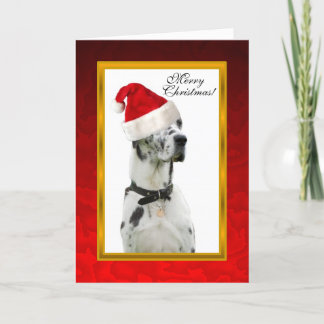 Dalmation Dog Red Christmas Card