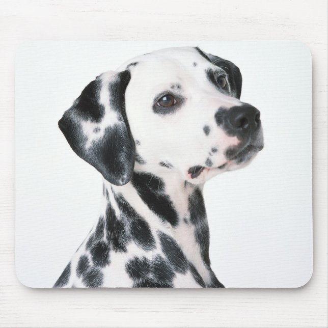 Dalmation Mouse Pad (Front)