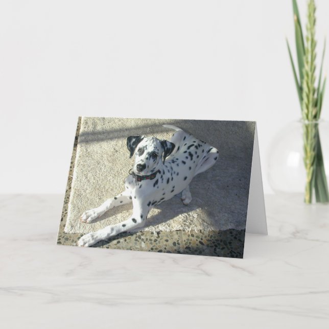 Dalmation Puppy Card (Front)