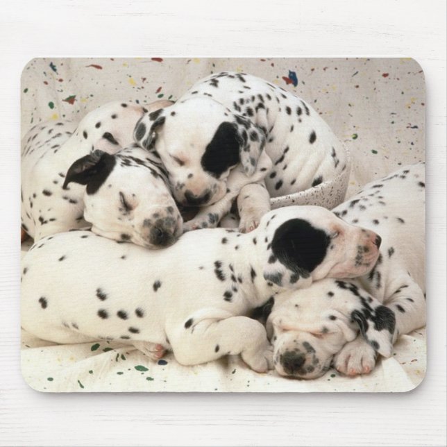 Dalmations Mouse Pad (Front)