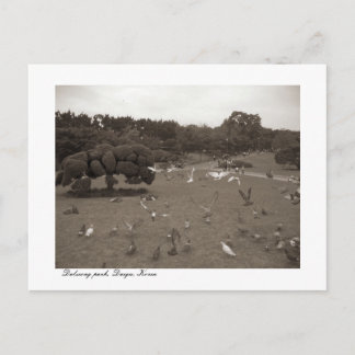 Dalseong Park, Daegu, South Korea postcard