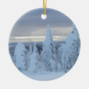 Dalton Highway Snow Christmas ornament