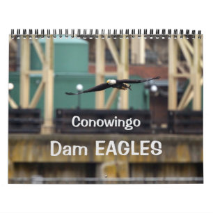 Dam Eagles Calendar