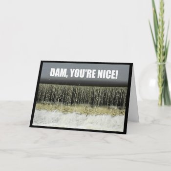 Dam  You're Nice! Thank You Card by MortOriginals at Zazzle