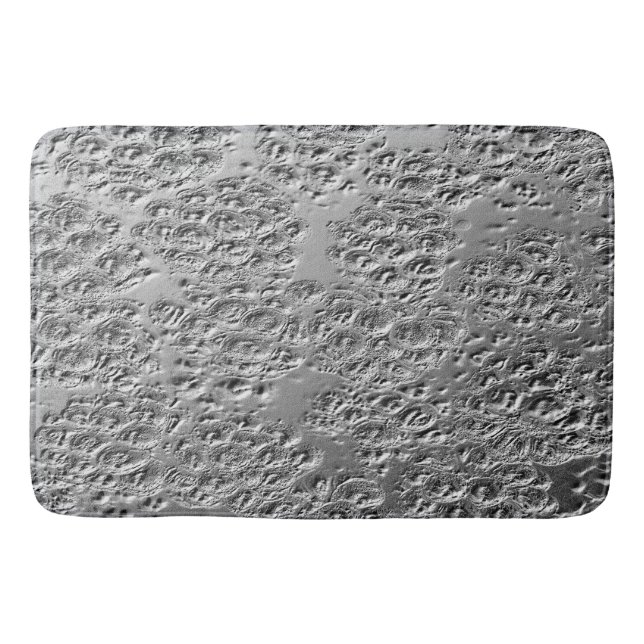 Damaged silver metal bath mat (Front)