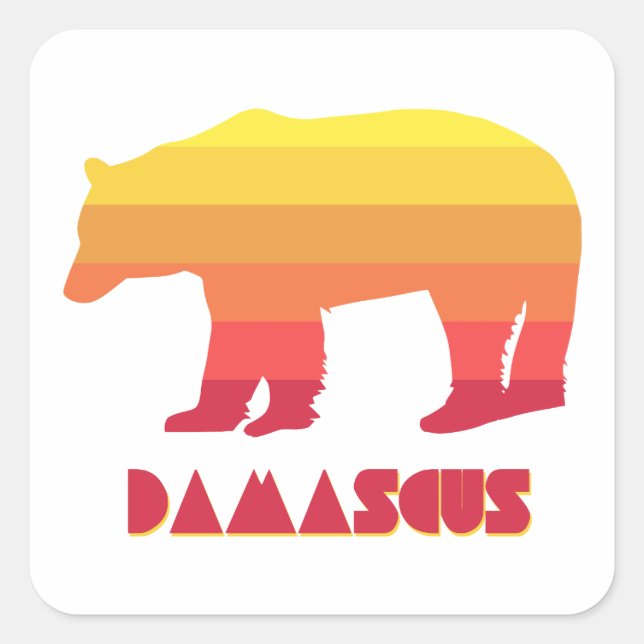 Damascus Virginia Rainbow Bear Square Sticker (Front)