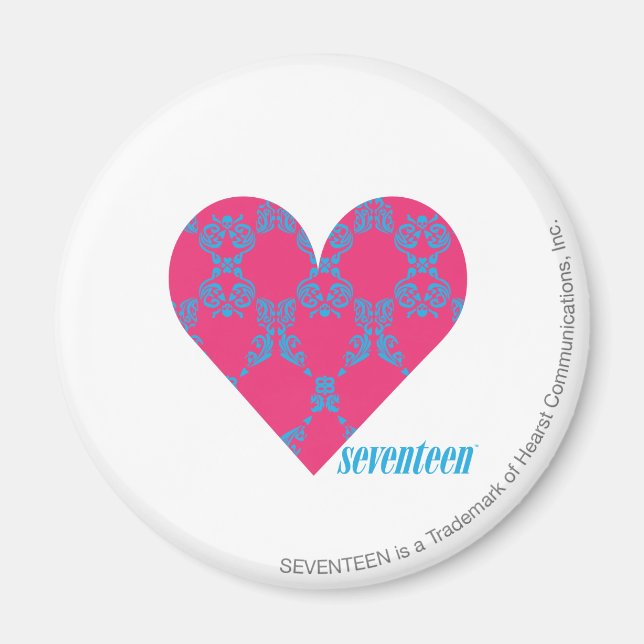 Damask Aqua-Magenta 4 Magnet (Front)