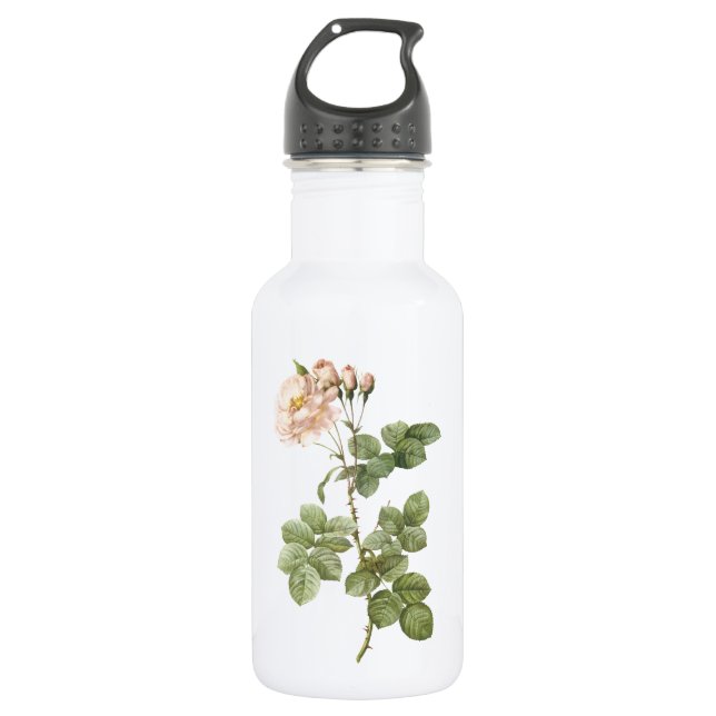 damask rose (Rosa damascena aurora) by Redouté Water Bottle (Front)
