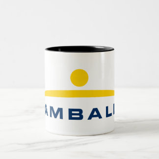 Damballa Mug