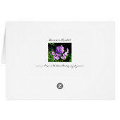 Dame's Rocket (Back Horizontal)