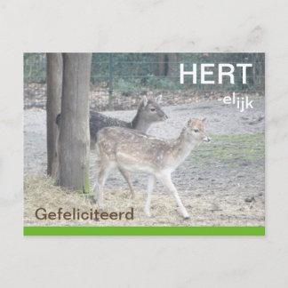 Damherten HERTelijk Gefeliciteerd Briefkaart Postcard