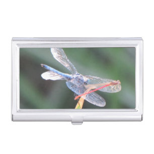 Damsel Fly Perched on Dragonfly Case For Business Cards