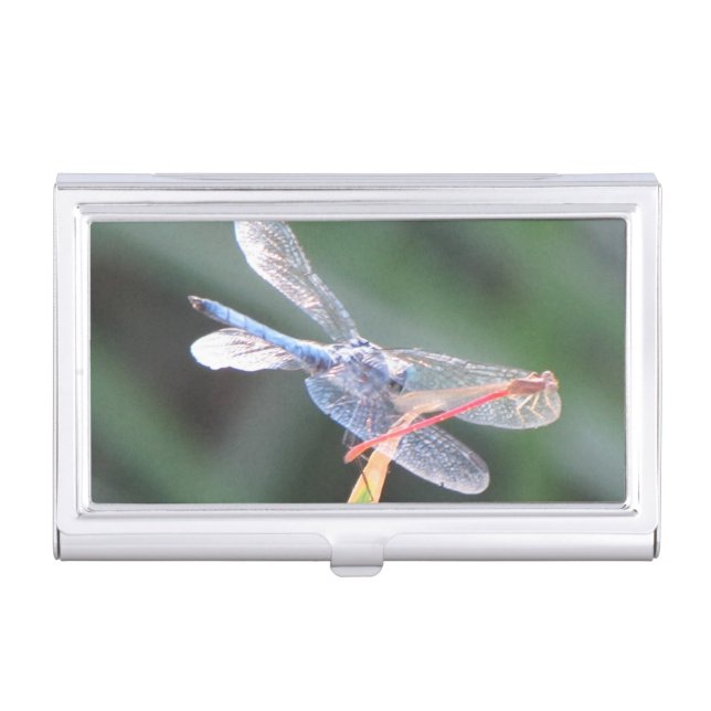 Damsel Fly Perched on Dragonfly Case For Business Cards (Front)