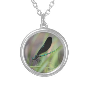 Damsel Fly Silver Plated Necklace