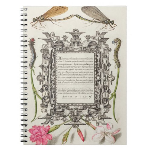 Damselflies Caterpillars Carnation and Poets Notebook