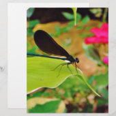Damselfly and Rose (Front/Back)