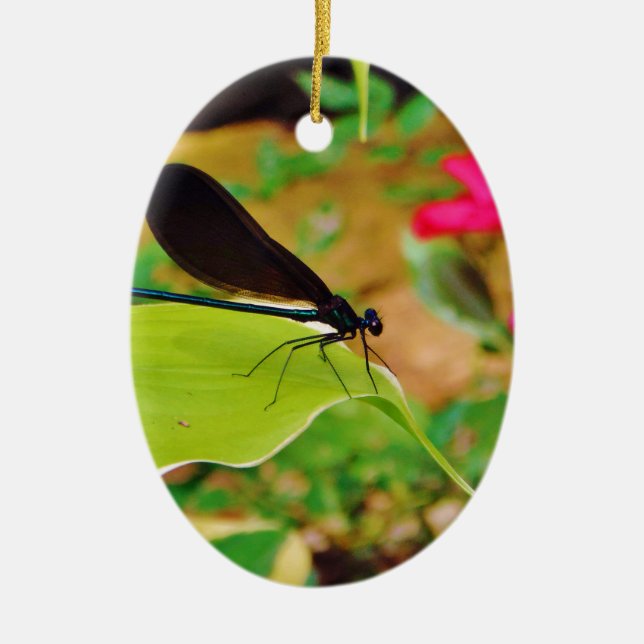 Damselfly and Rose Ceramic Ornament (Front)