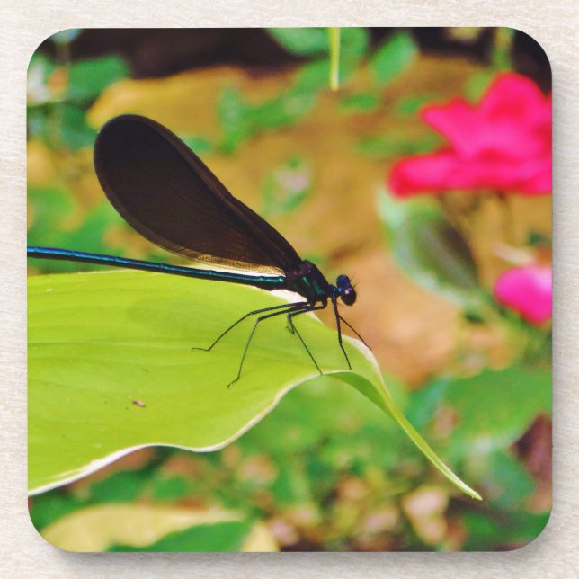 Damselfly and Rose Coaster (Front)