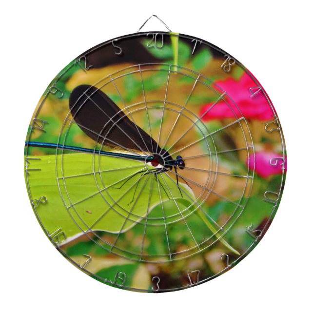 Damselfly and Rose Dartboard With Darts (Front)