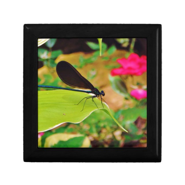 Damselfly and Rose Gift Box (Front)