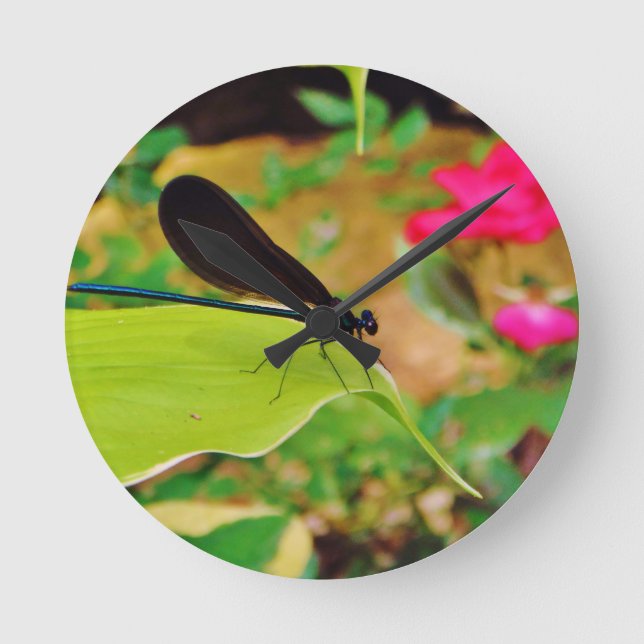 Damselfly and Rose Round Clock (Front)