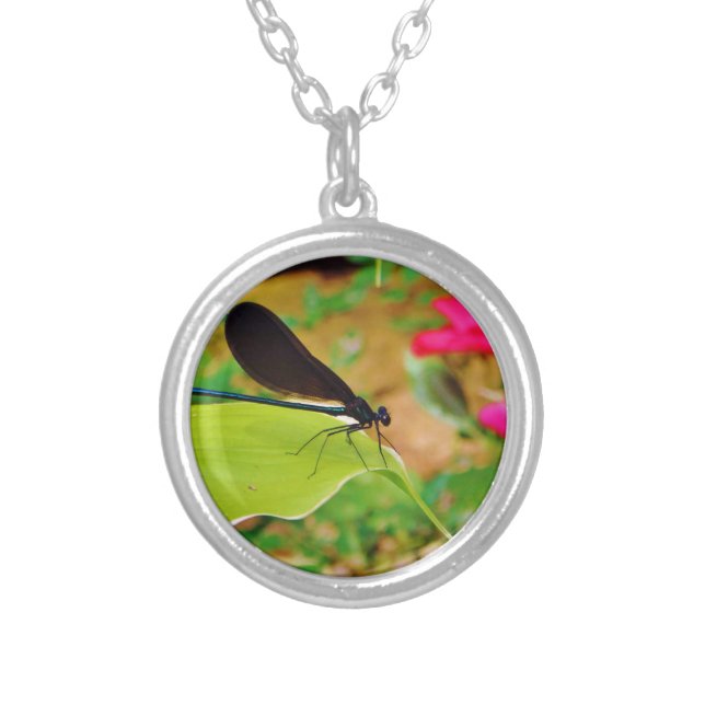 Damselfly and Rose Silver Plated Necklace (Front)